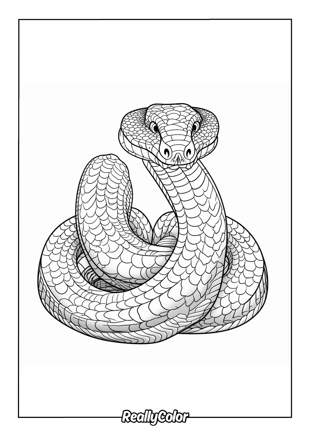 Free Printable Cobra Coloring Pages Free Printable Cobra Coloring Pages