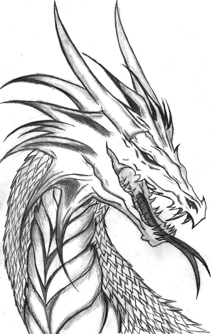 Free Realistic Dragon Coloring Pages Pdf