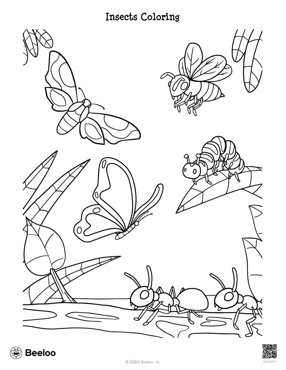 coloring pages of insects