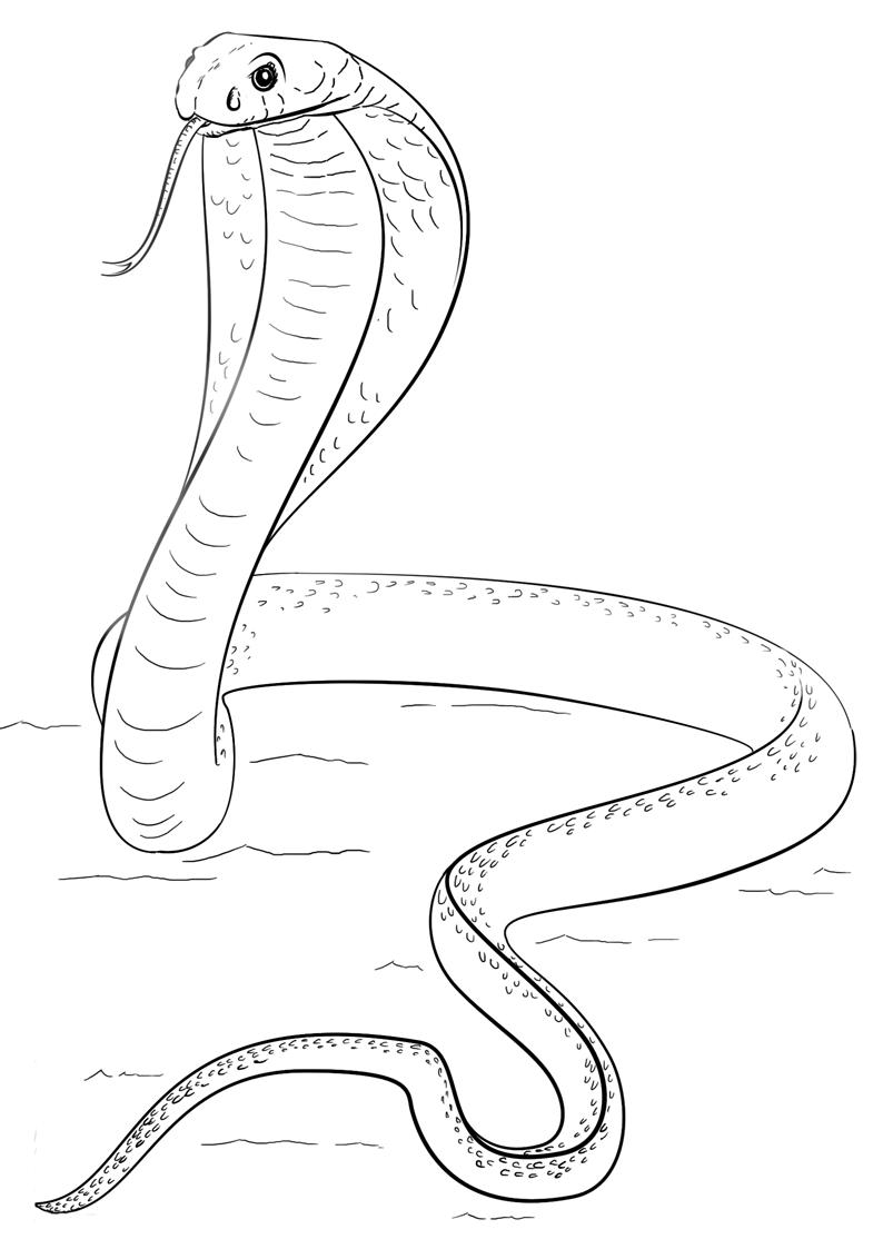 King Cobra Coloring Page Free Printable