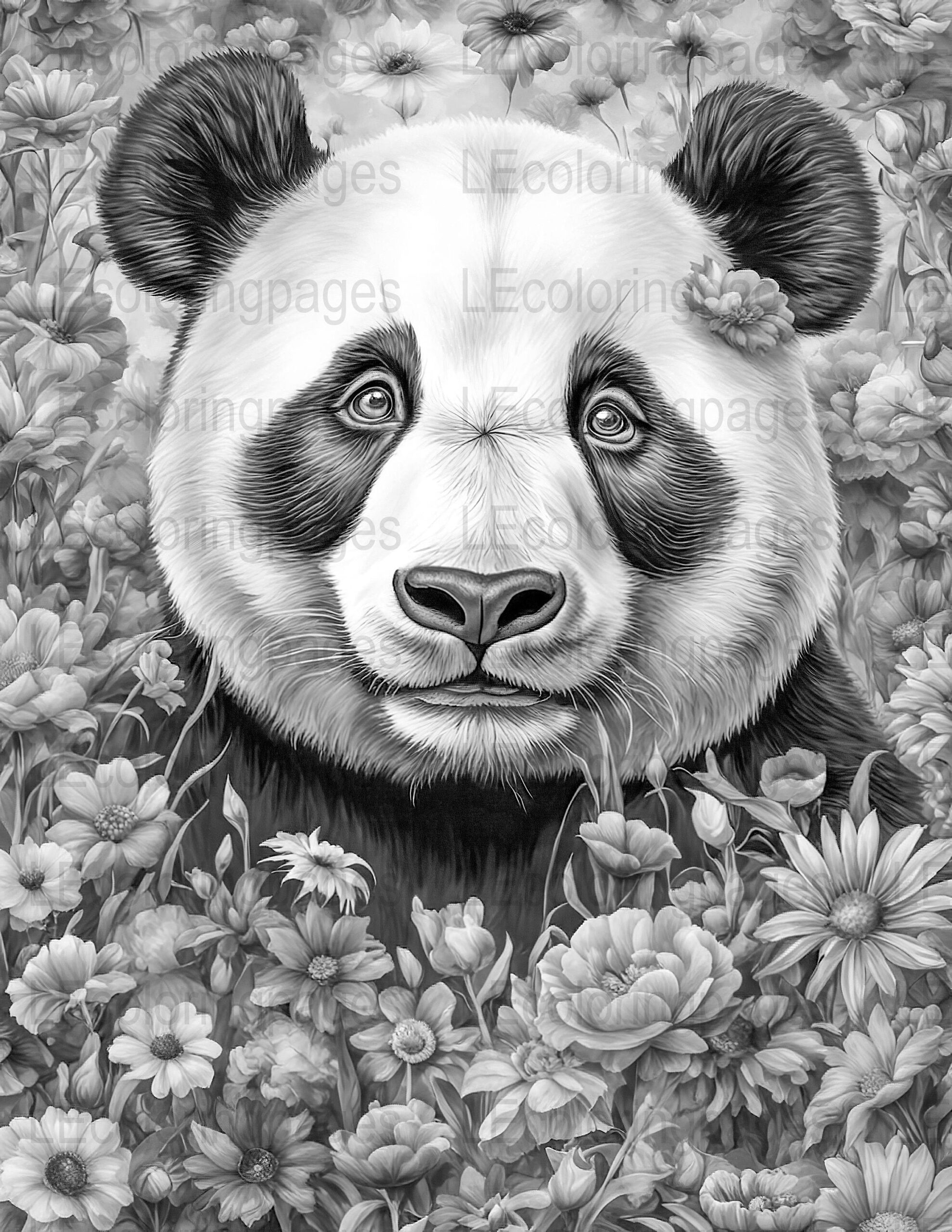 panda bear coloring pages