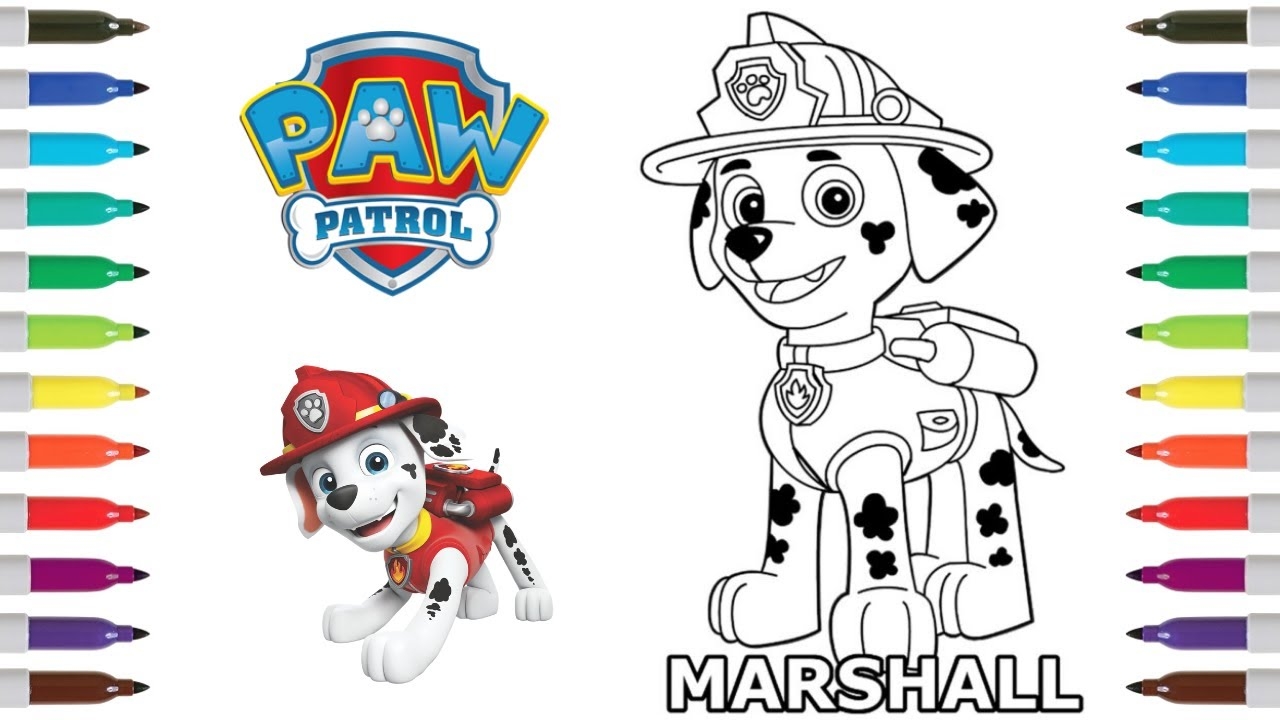 Paw Patrol Coloring Book Page Marshall Marshall Coloring Page YouTube