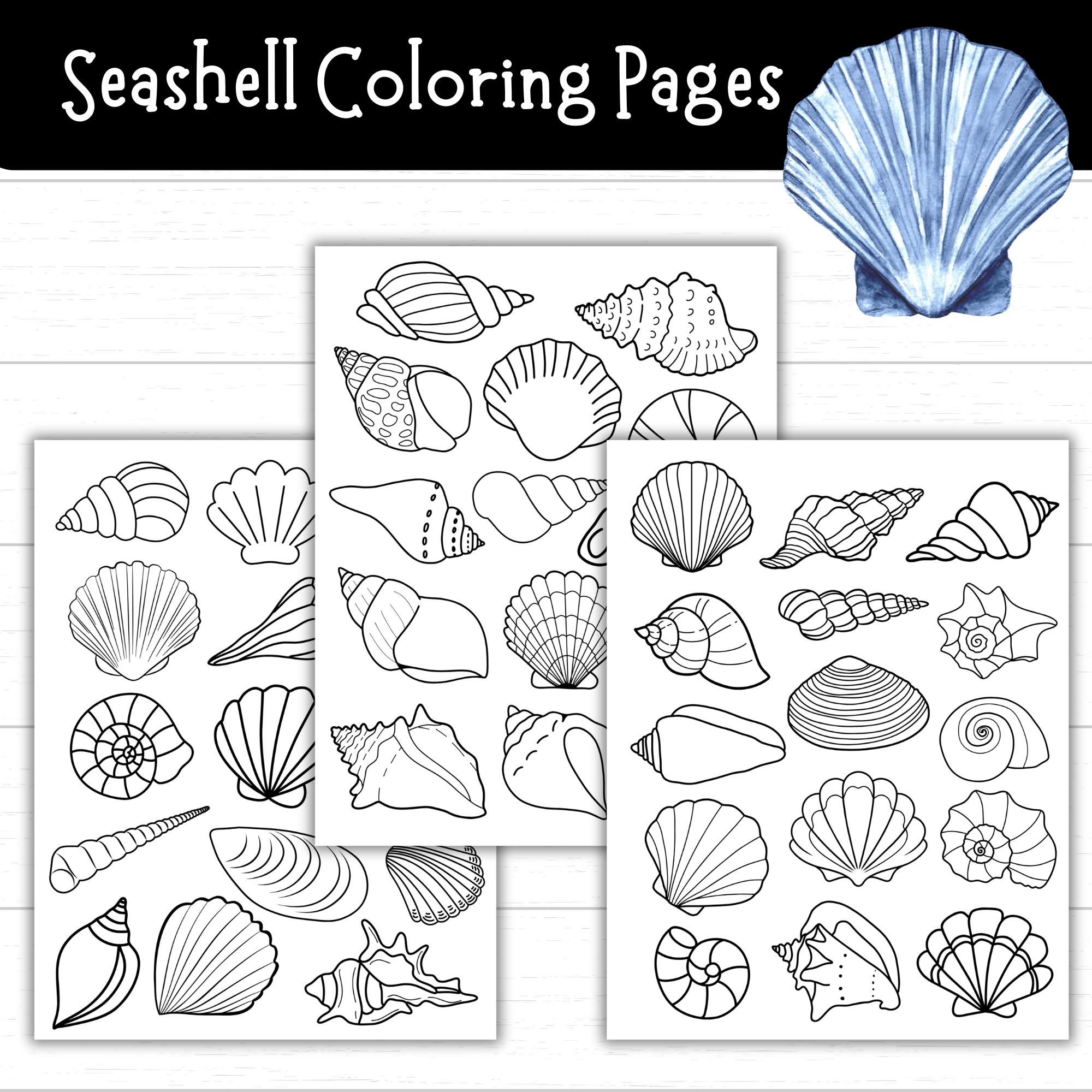 Printable Seashell Coloring Pages Seashell Templates For Crafts And Activities Beach Printables For Kids Ocean Themed Unit Shell Crafts Etsy