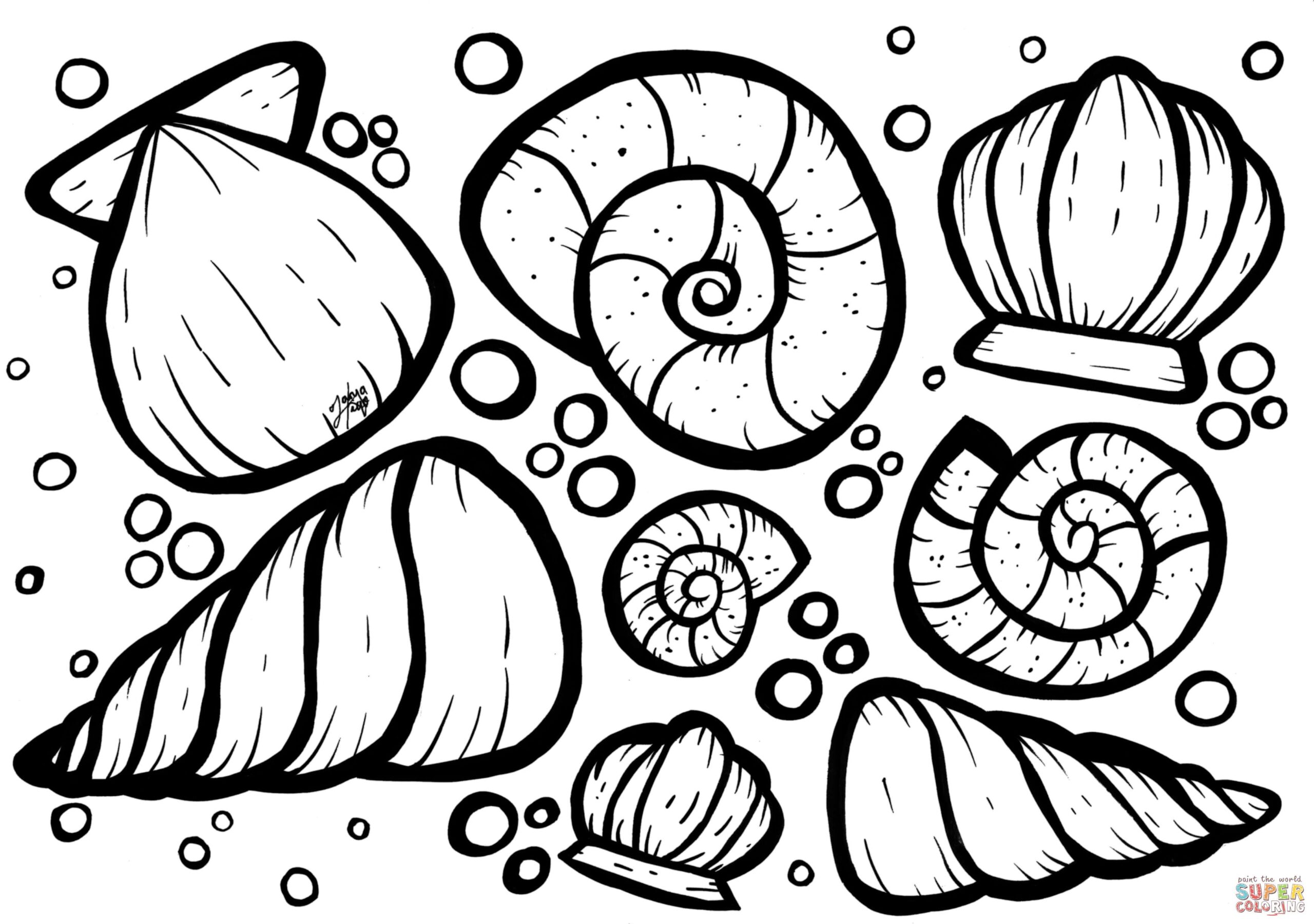 Shells Coloring Page Free Printable