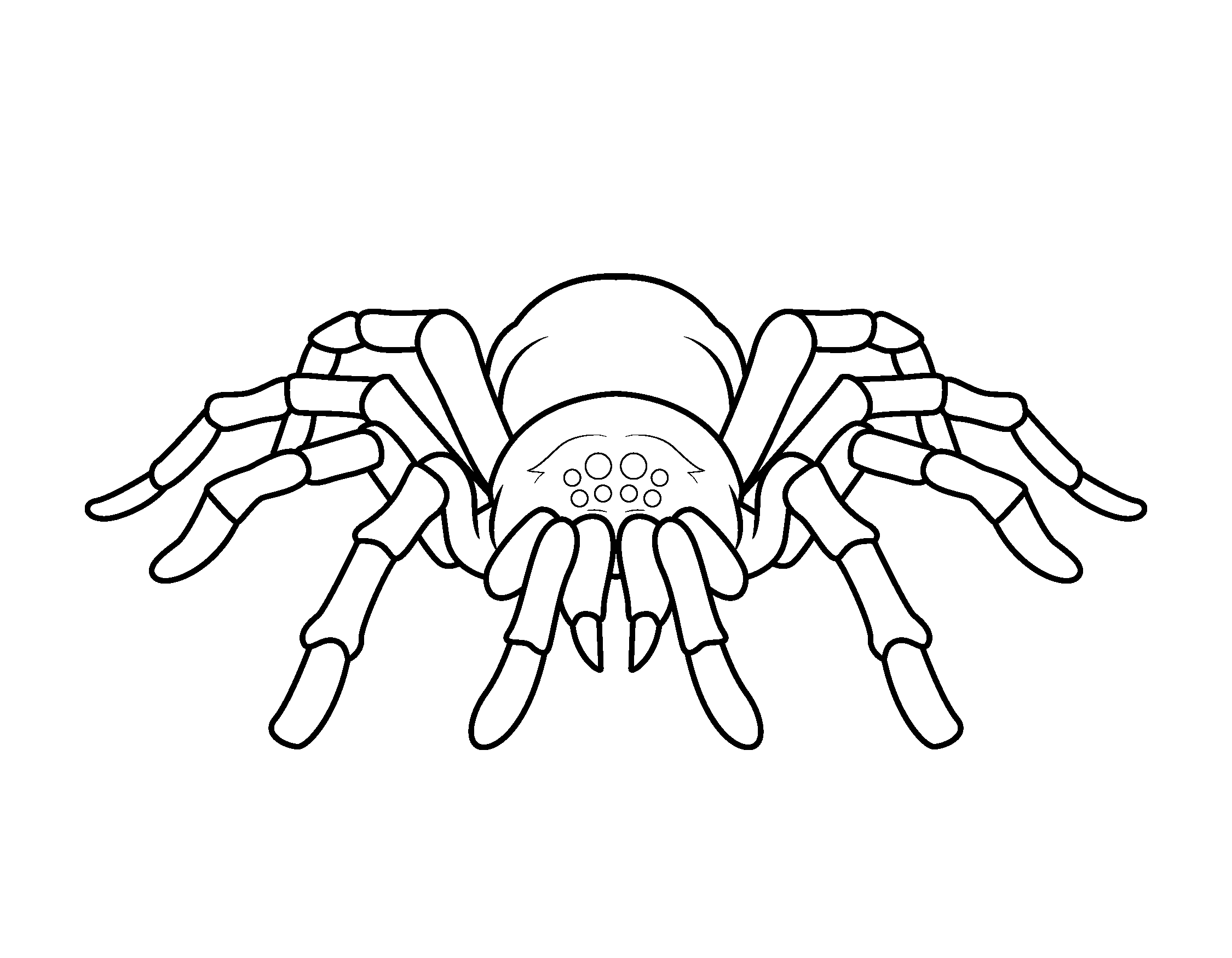 Spider Coloring Pages Gift Of Curiosity Spider Coloring Pages Gift Of Curiosity