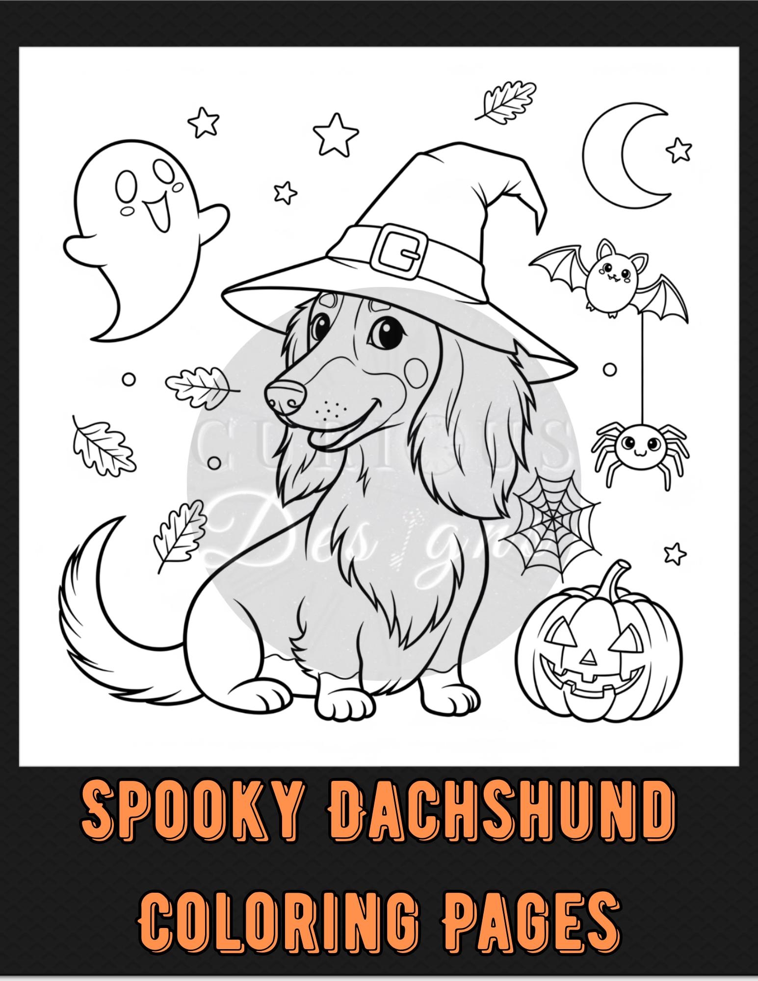 Spooky Dachshund Coloring Book Witchy Weenie Halloween Fall Animals PDF Print Template Etsy