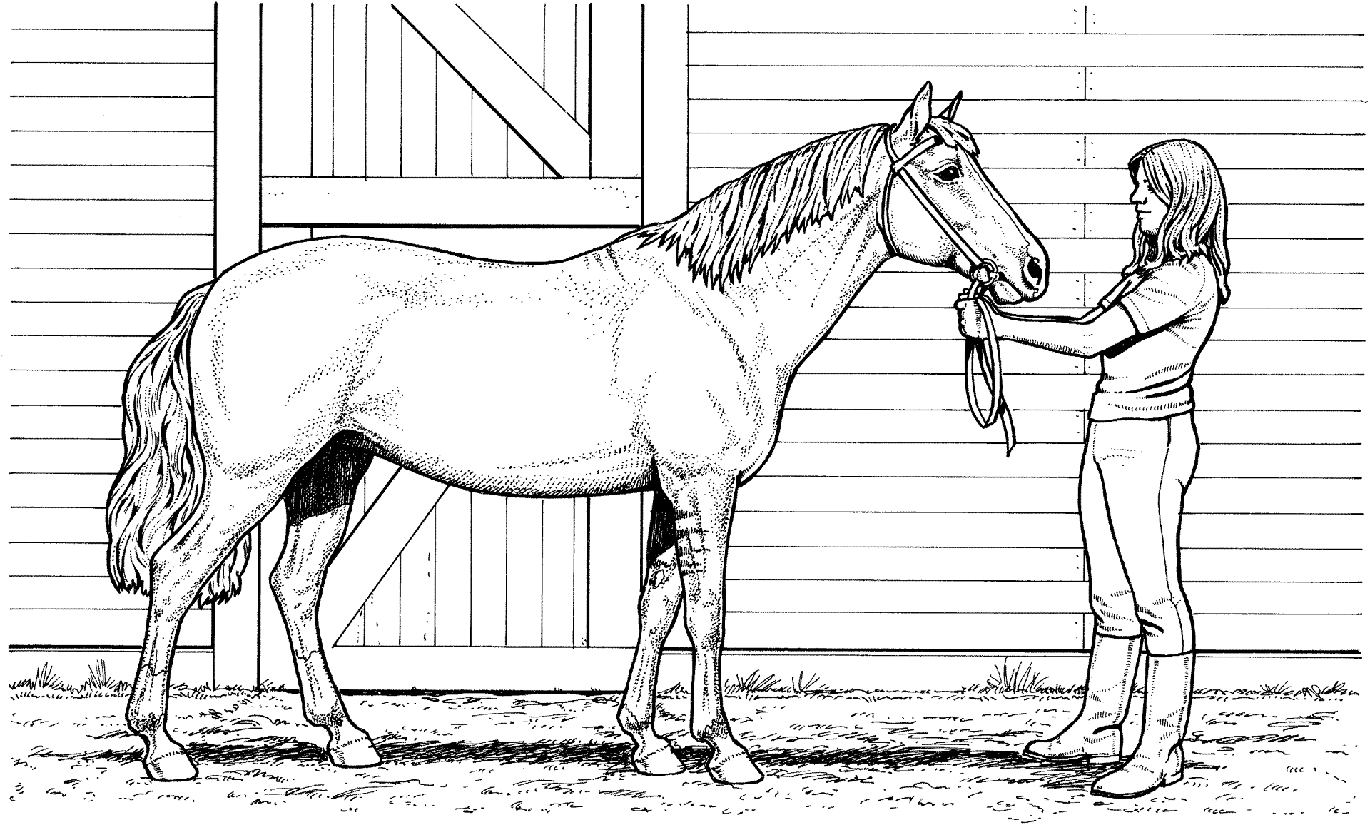 horse coloring pages printable